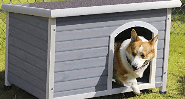 Best Dog House for Husky - Buying Guide