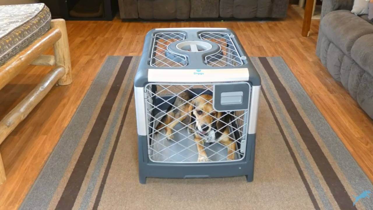 Best Dog Crates for Medium Dogs - in-depth buying guide