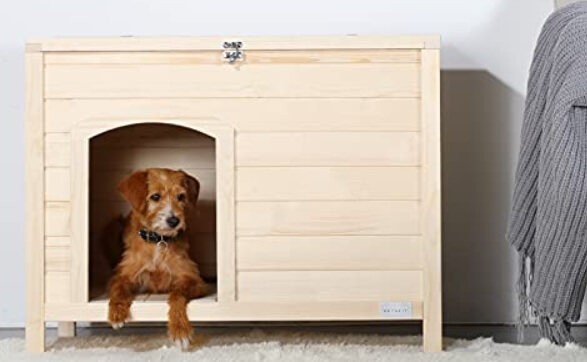 Why Choose the Best Indoor Dog House