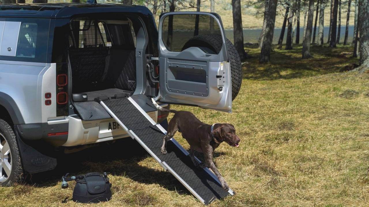 best dog ramp for jeep - in-depth review with buying guide